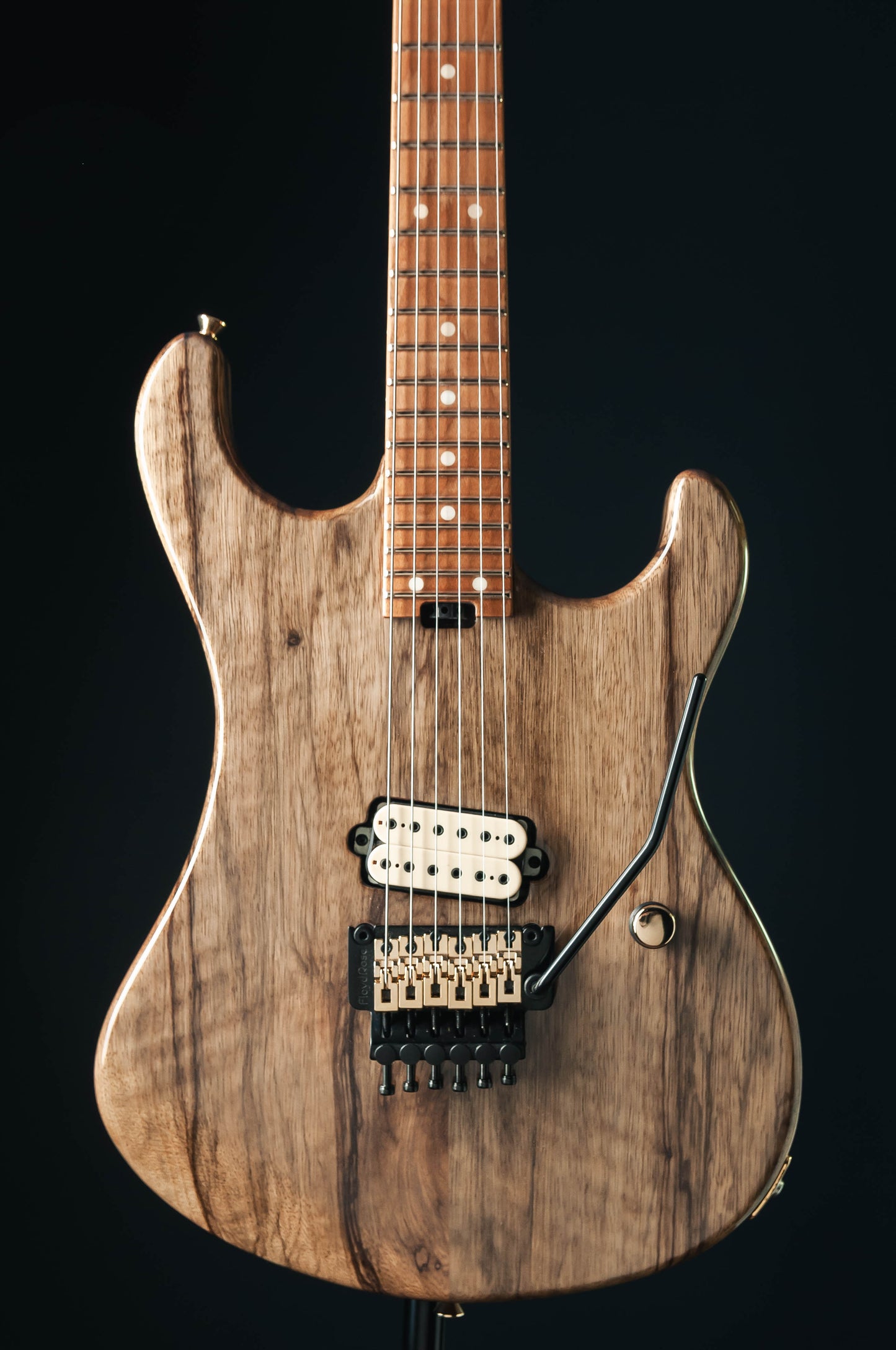CustomShop - Roxy 6 String