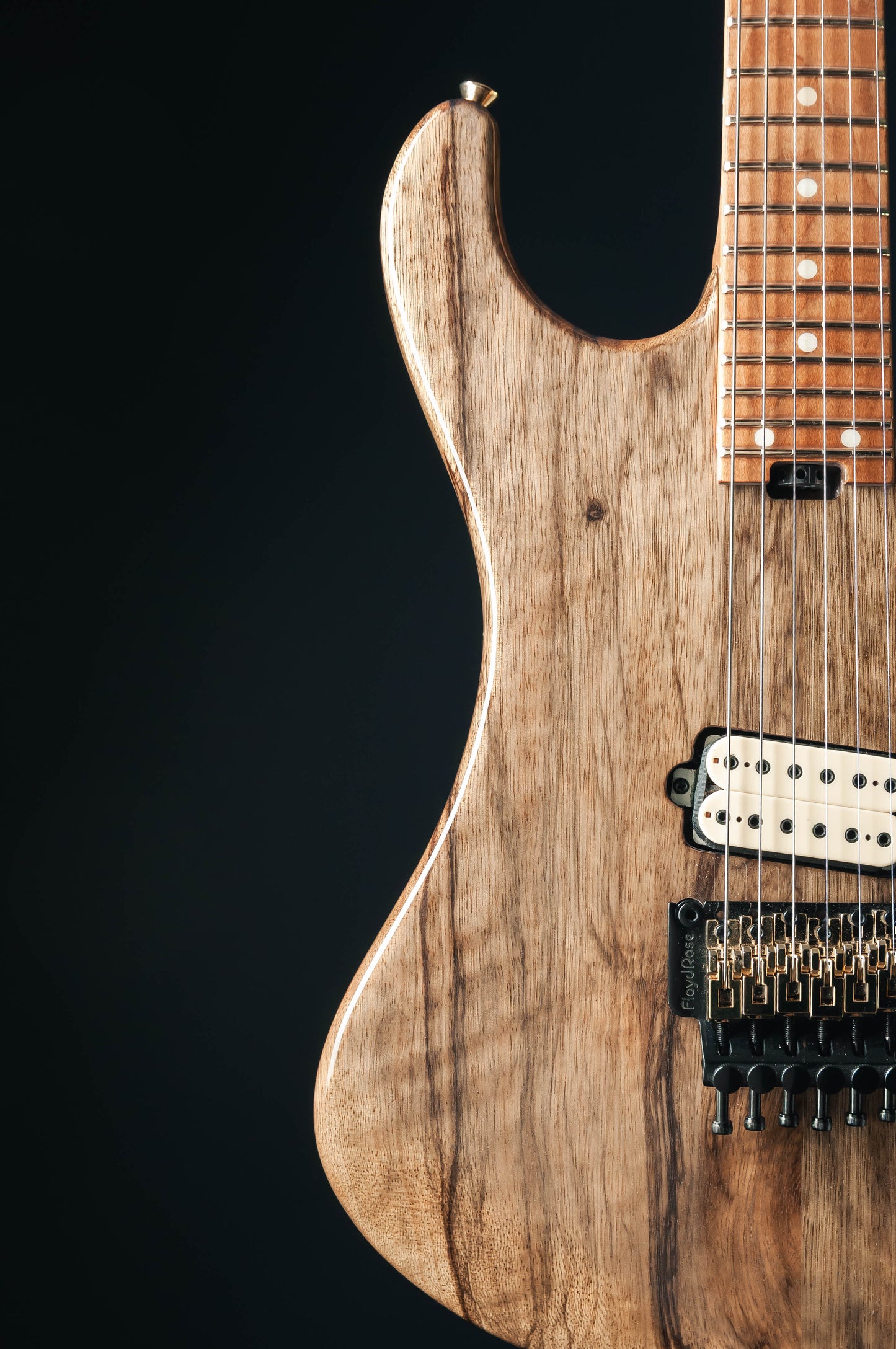 CustomShop - Roxy 6 String