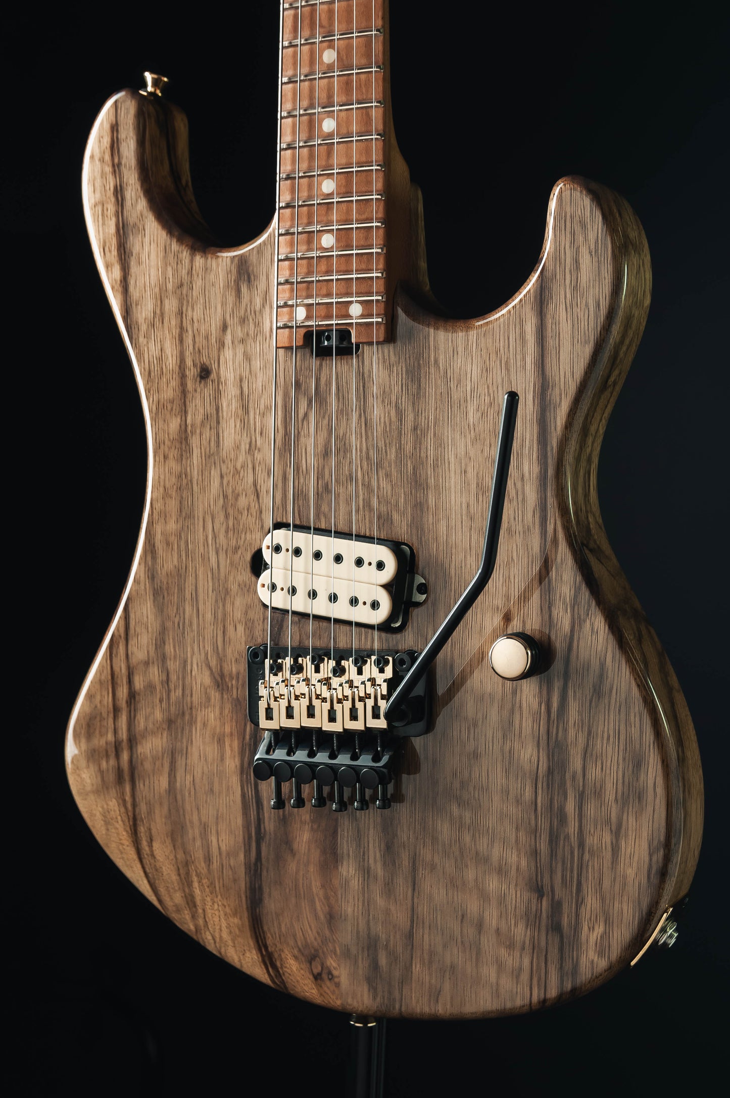 CustomShop - Roxy 6 String