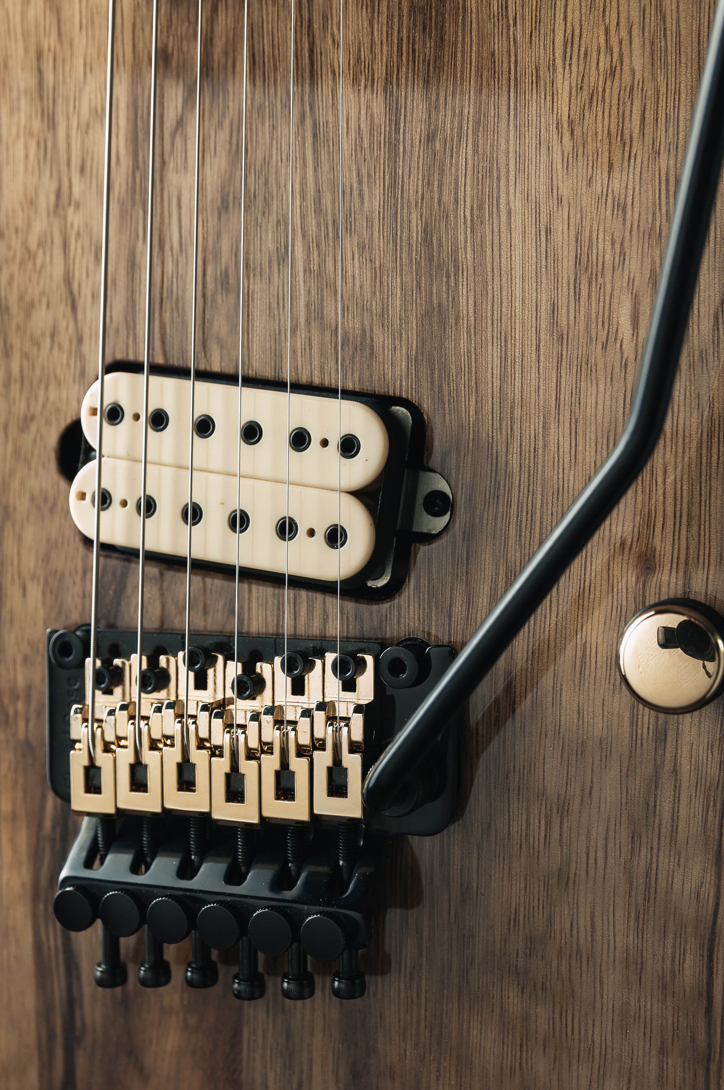 CustomShop - Roxy 6 String