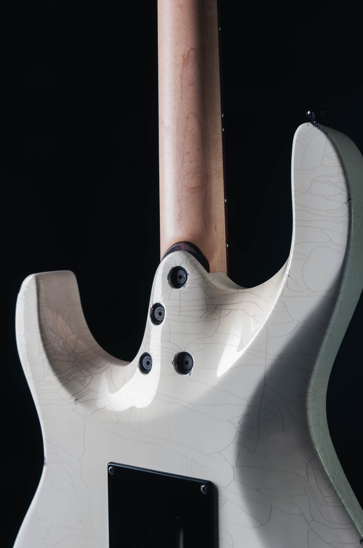 CustomShop - Genesis Relic 6 String