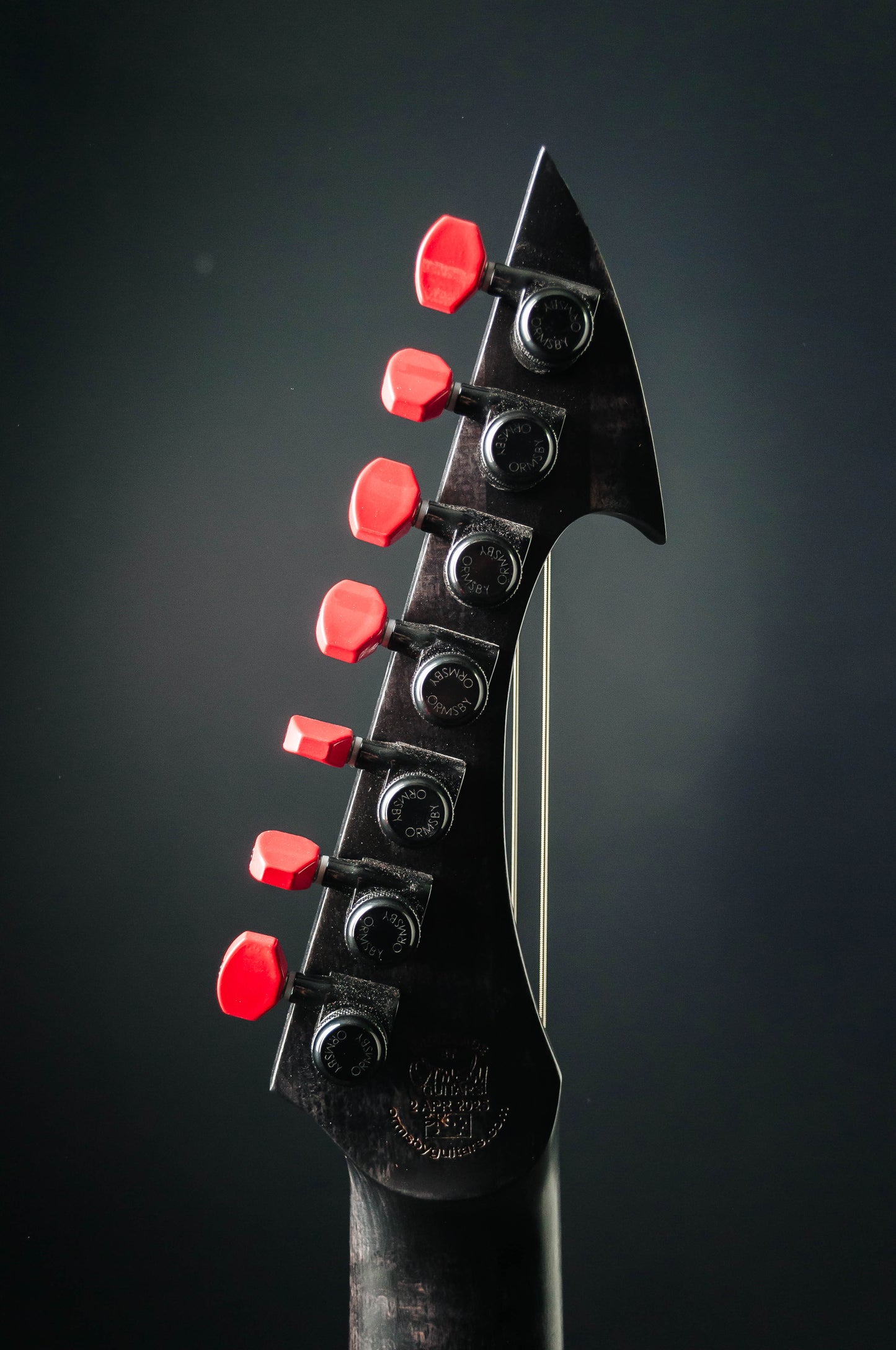 CustomShop - Hype Raptor 7 string