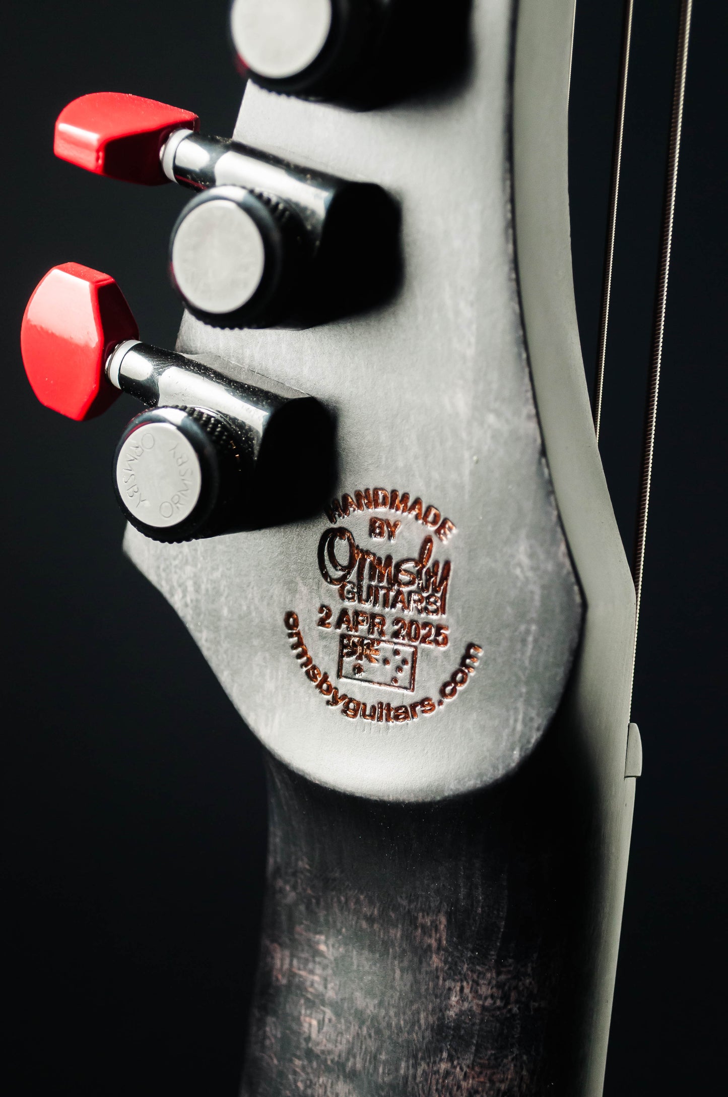 CustomShop - Hype Raptor 7 string