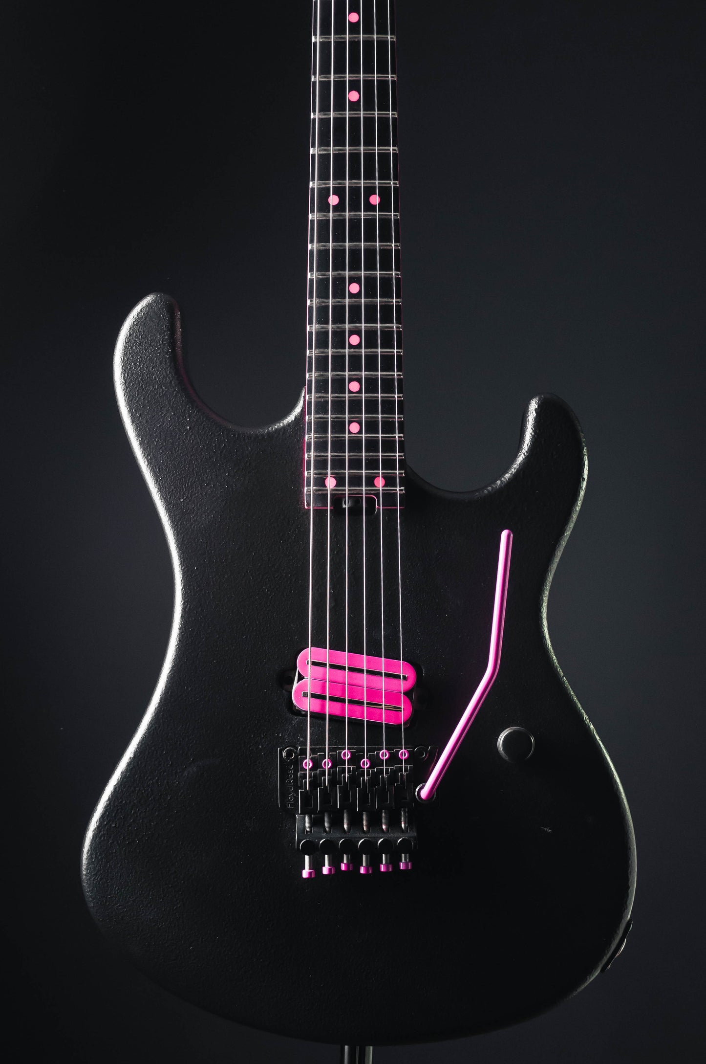 CustomShop - Roxy Raptor 6 String