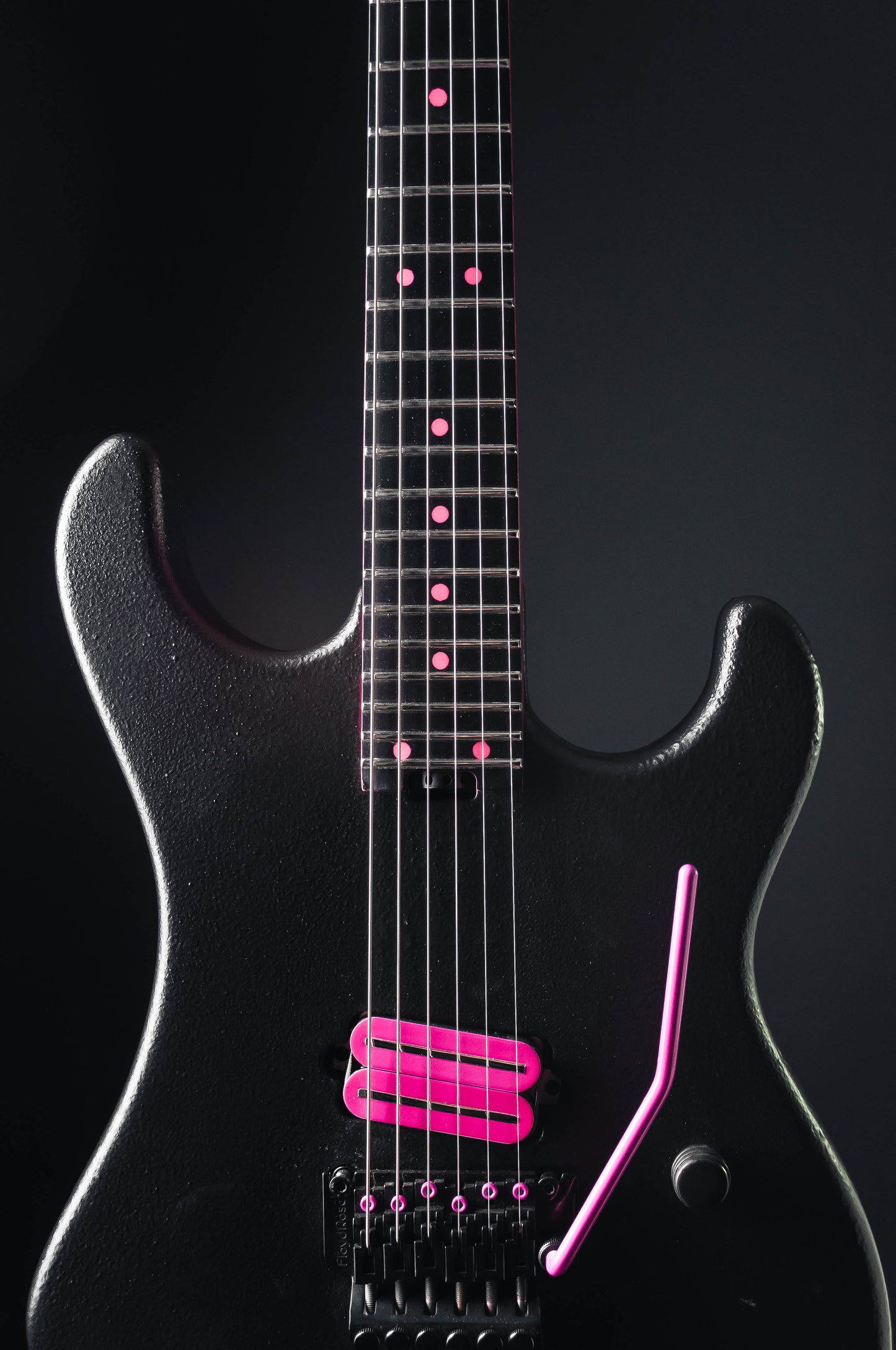 CustomShop - Roxy Raptor 6 String