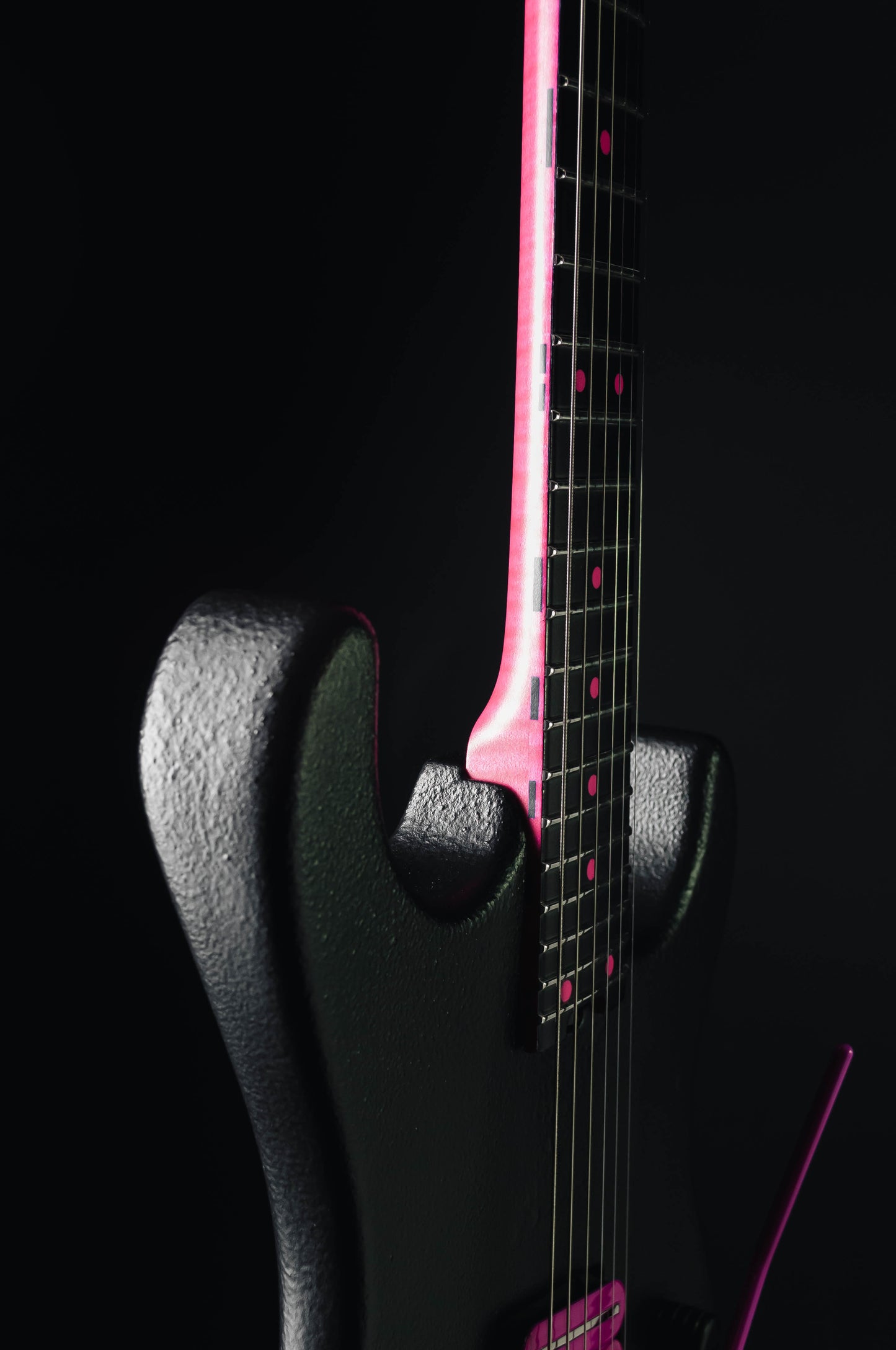 CustomShop - Roxy Raptor 6 String