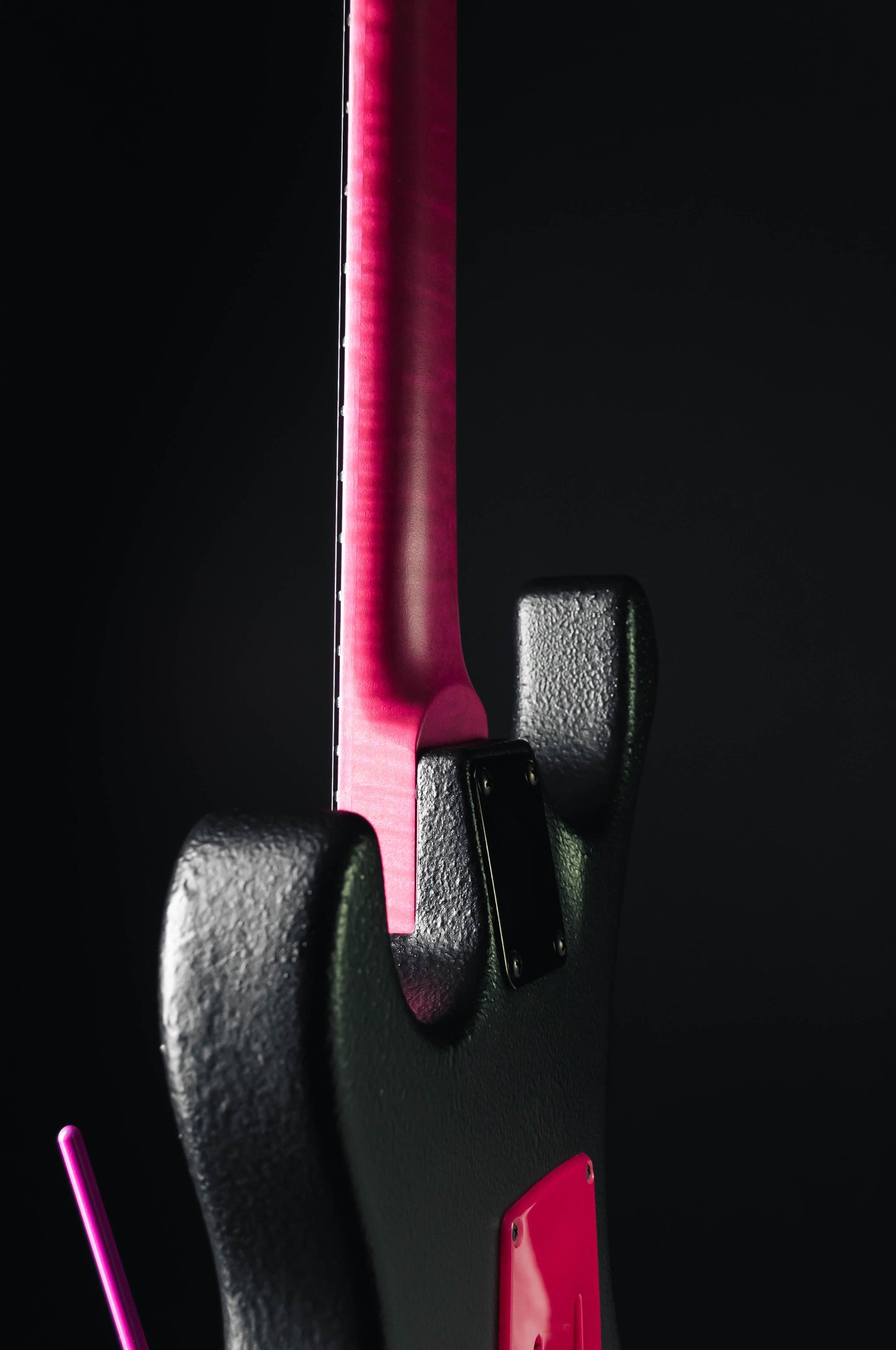 CustomShop - Roxy Raptor 6 String