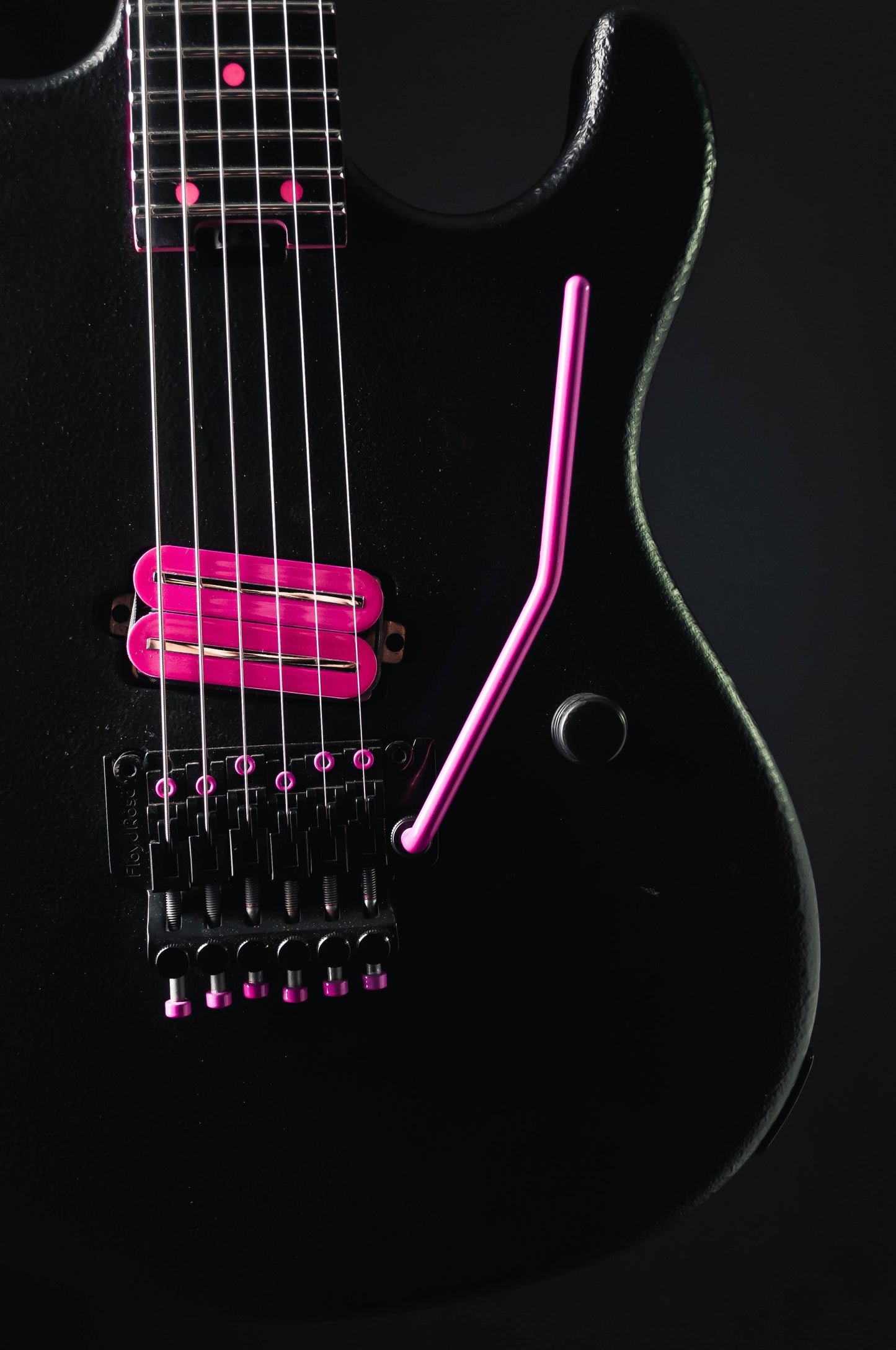 CustomShop - Roxy Raptor 6 String