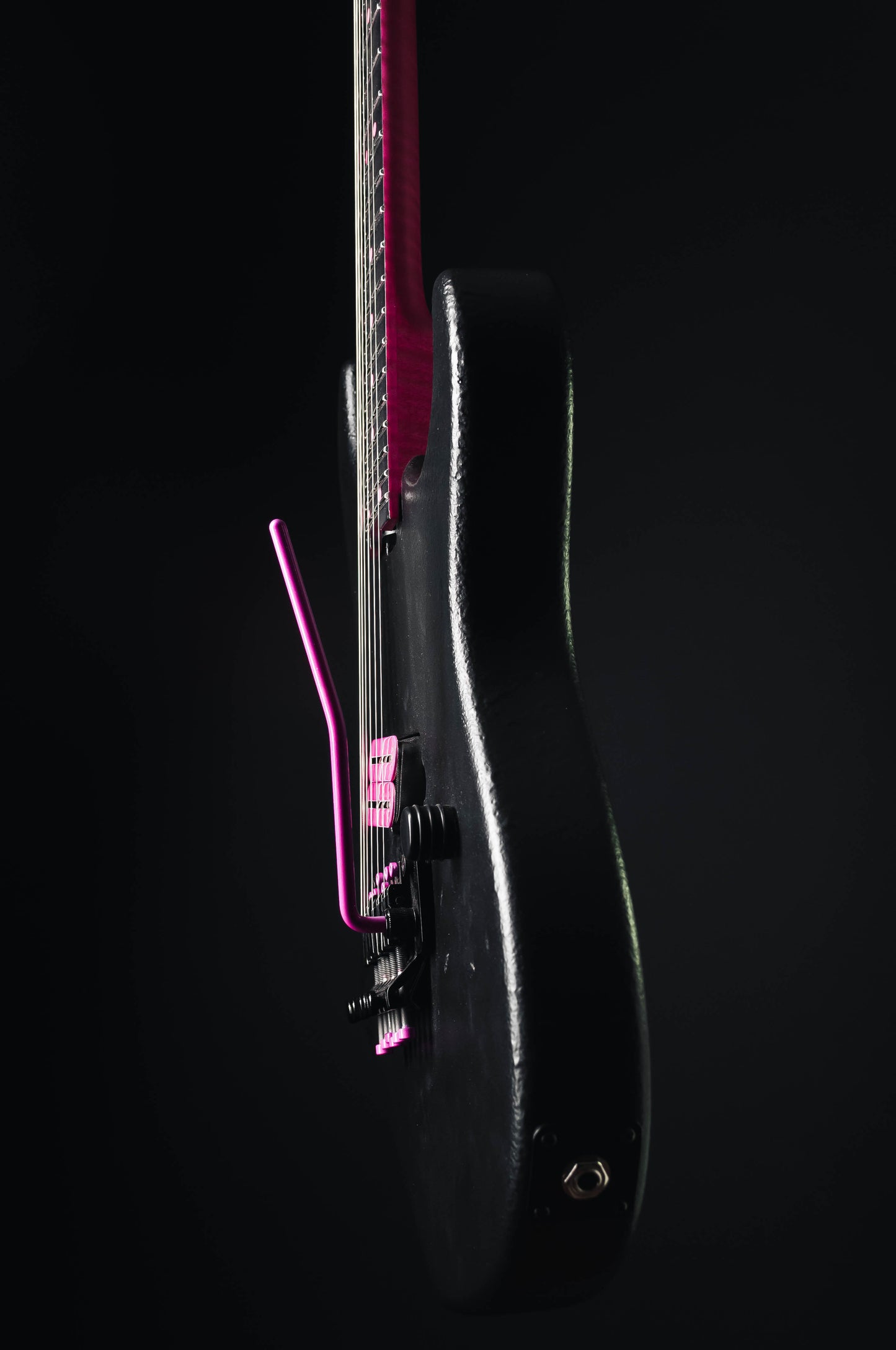 CustomShop - Roxy Raptor 6 String