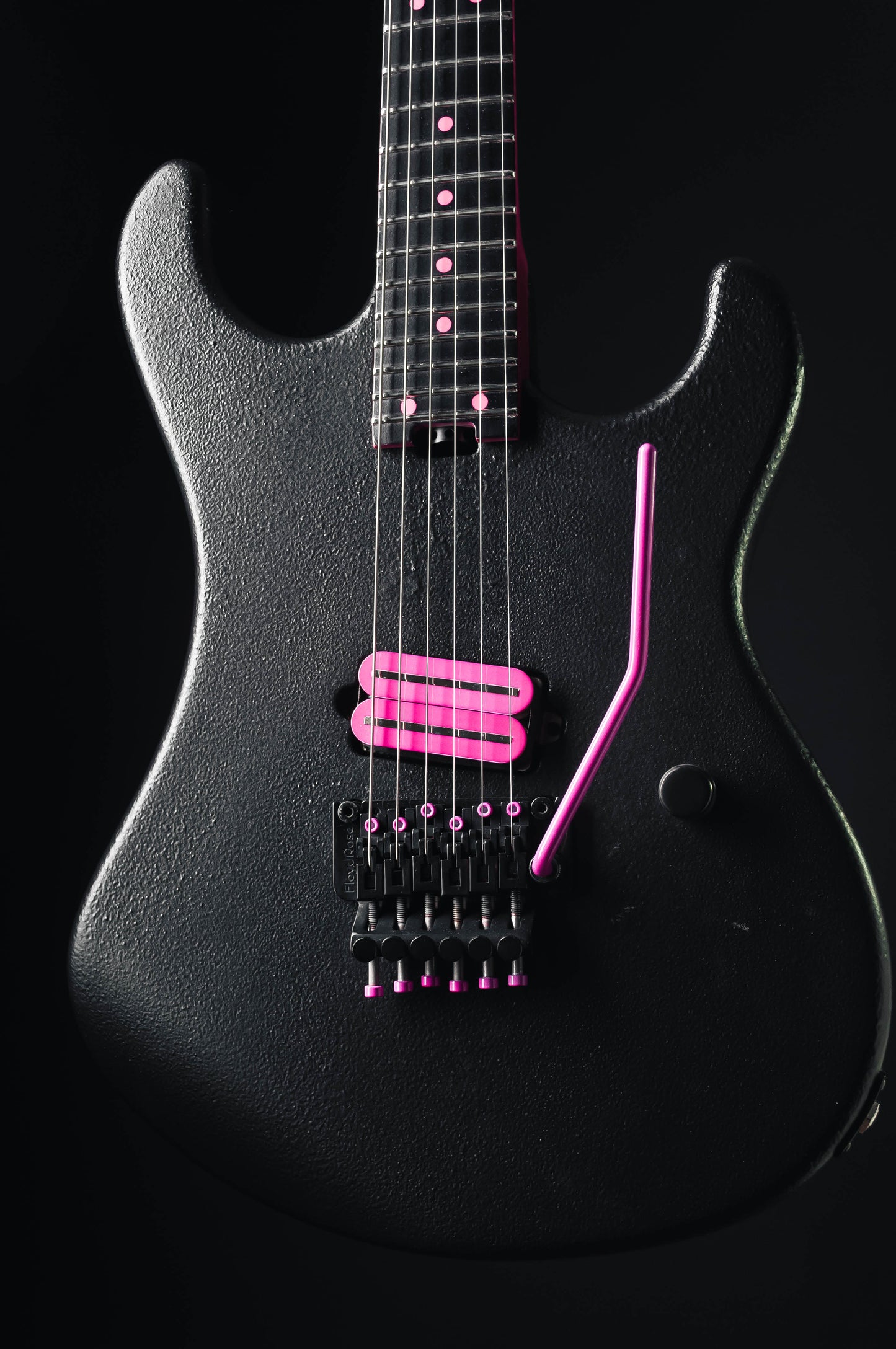 CustomShop - Roxy Raptor 6 String