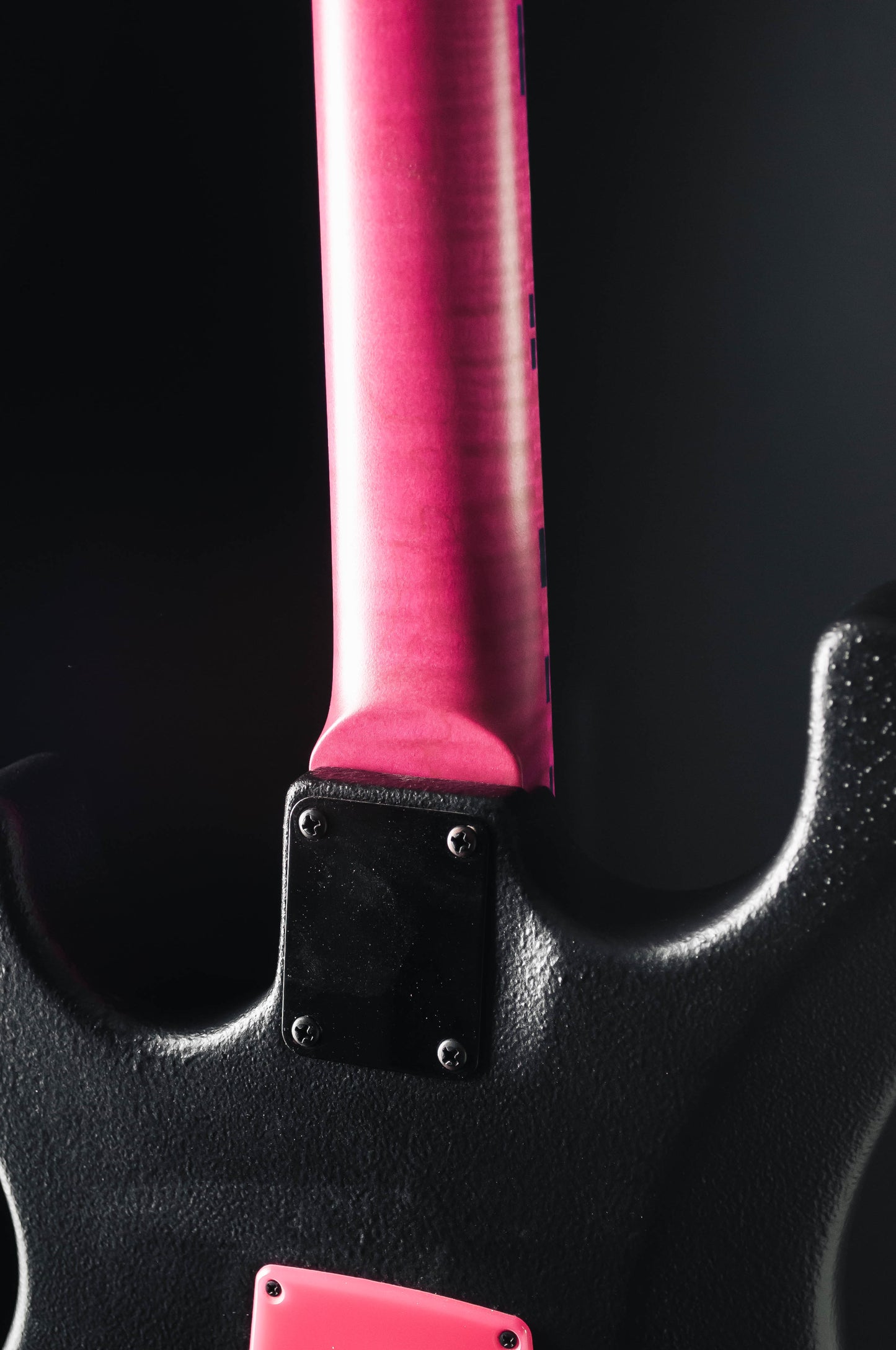 CustomShop - Roxy Raptor 6 String