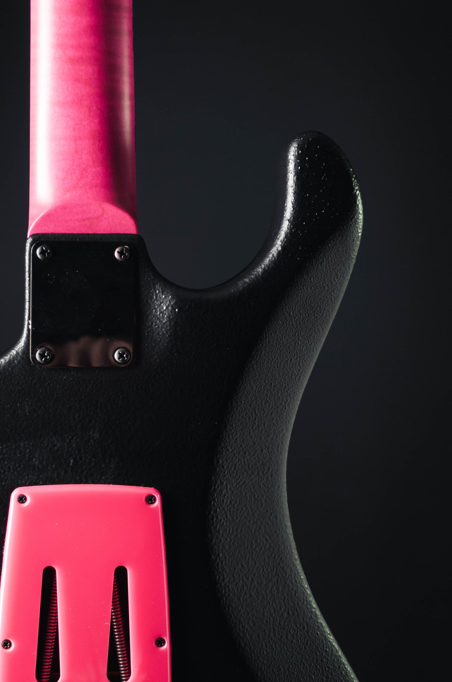 CustomShop - Roxy Raptor 6 String