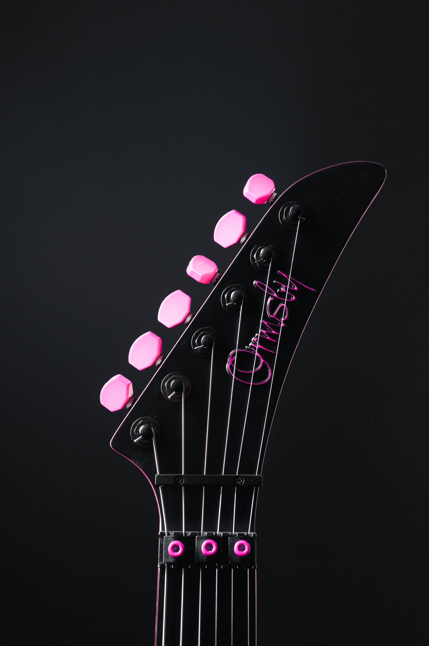 CustomShop - Roxy Raptor 6 String