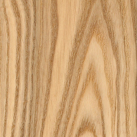 NORTHERN ASH wood grain sample