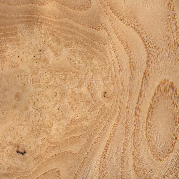 OLIVE ASH wood grain sample