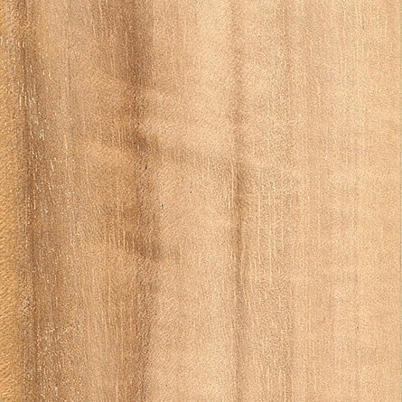 QUEENSLAND MAPLE wood grain sample