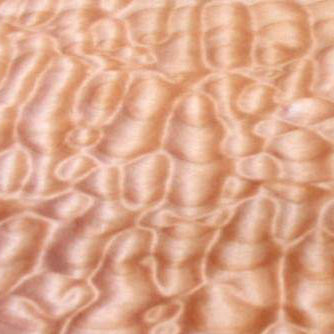 QUILT MAPLE wood grain sample