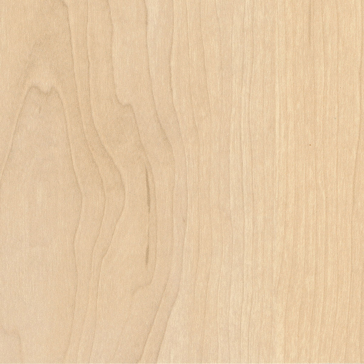 ROCK MAPLE wood grain sample