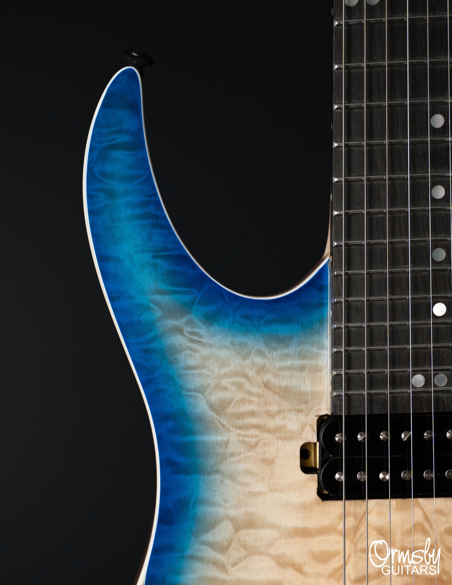 Floyd Rose Hype GTR Run 18 - Standard Scale