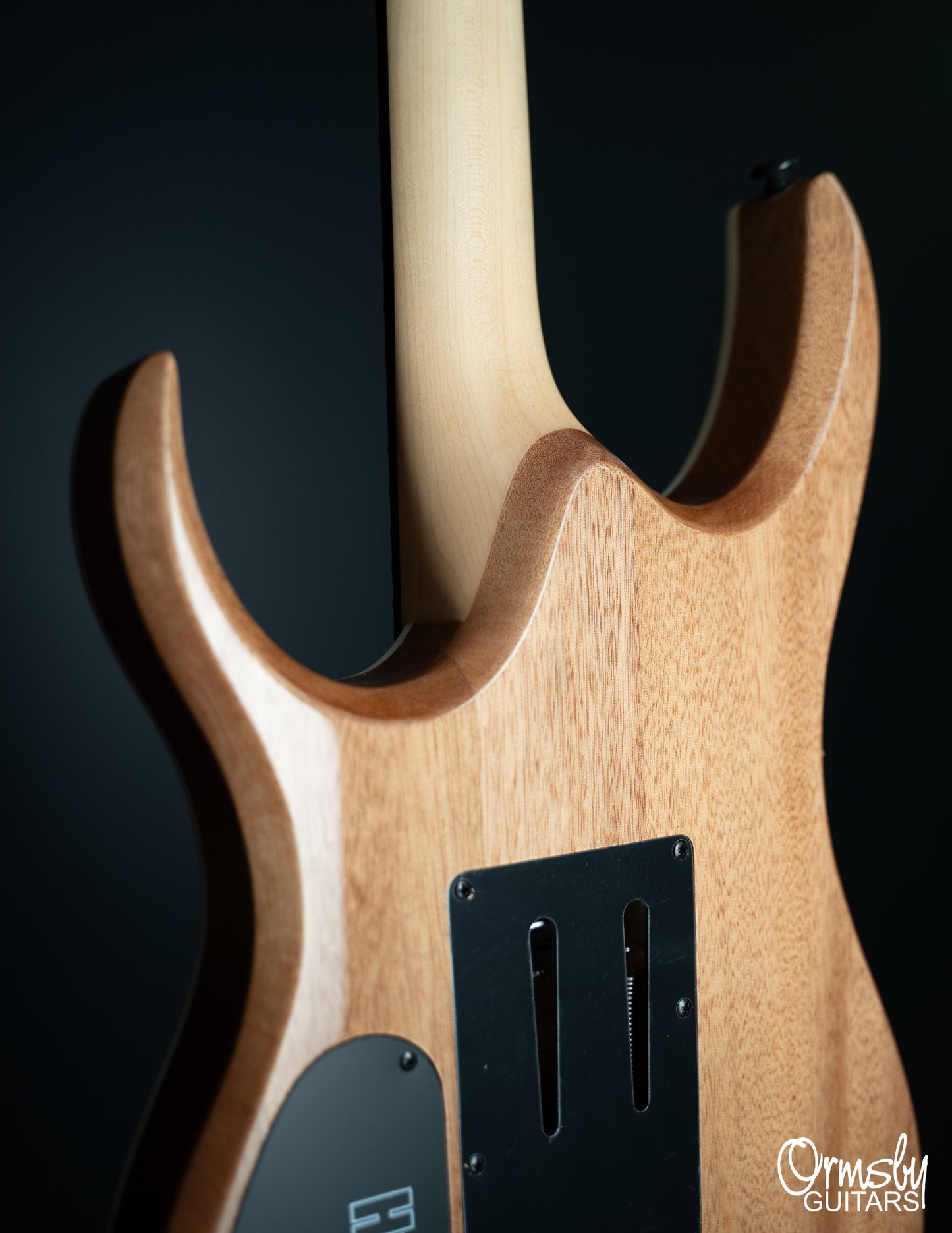 Floyd Rose Hype GTR Run 18 - Standard Scale