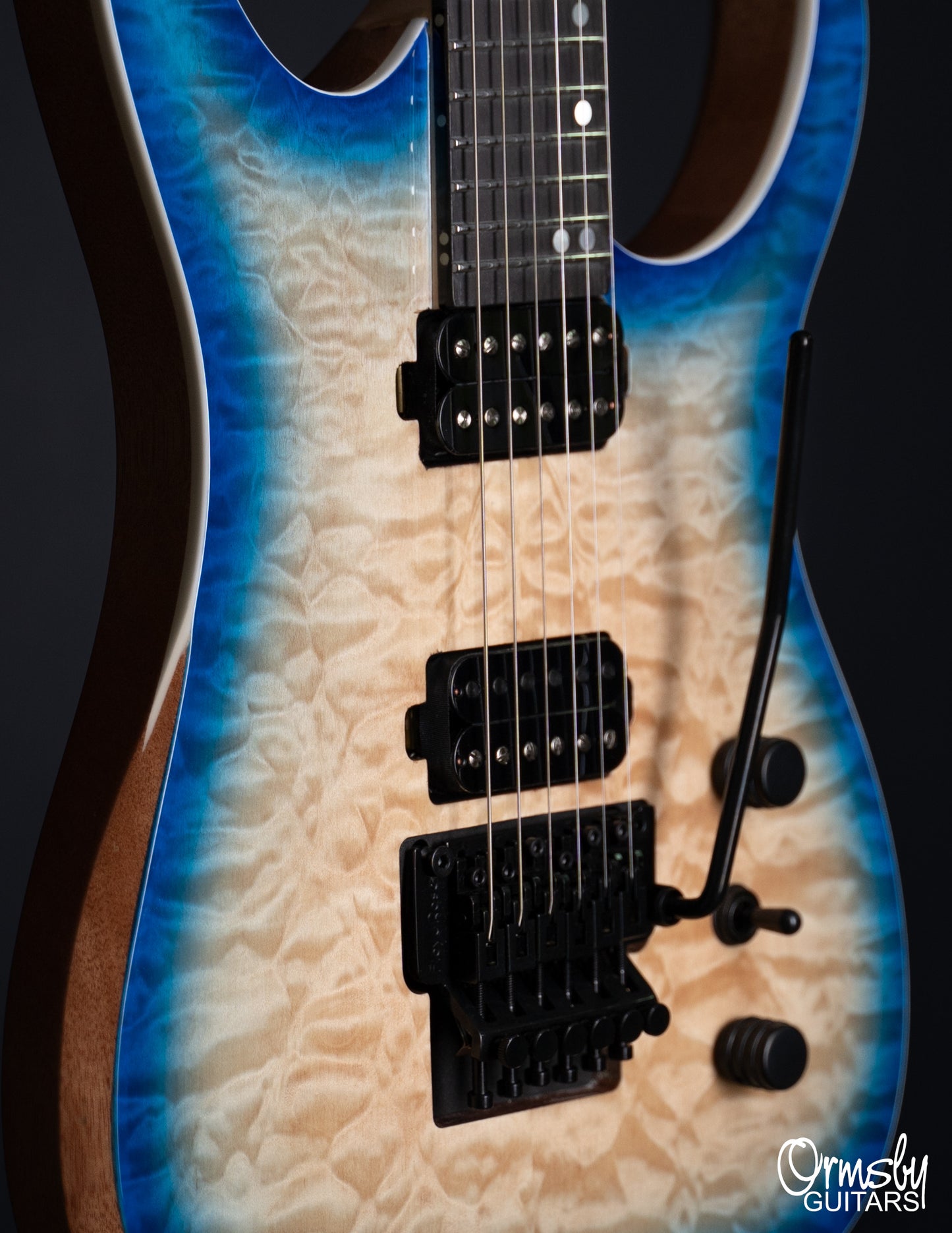 Floyd Rose Hype GTR Run 18 - Standard Scale