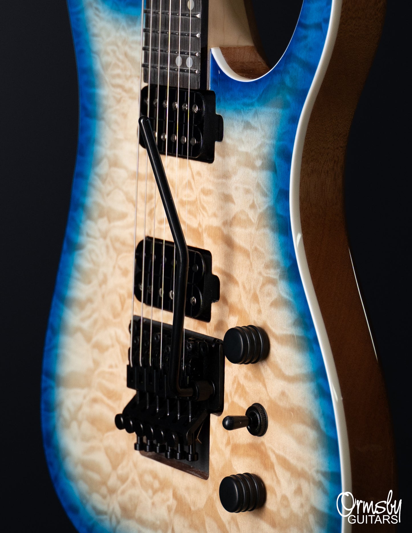 Floyd Rose Hype GTR Run 18 - Standard Scale