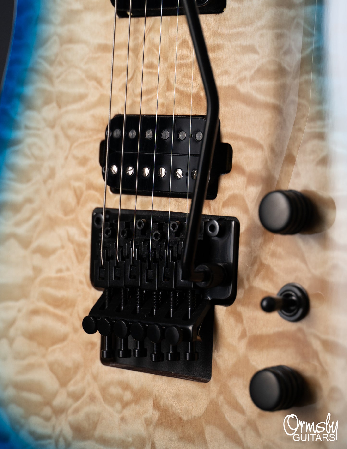 Floyd Rose Hype GTR Run 18 - Standard Scale
