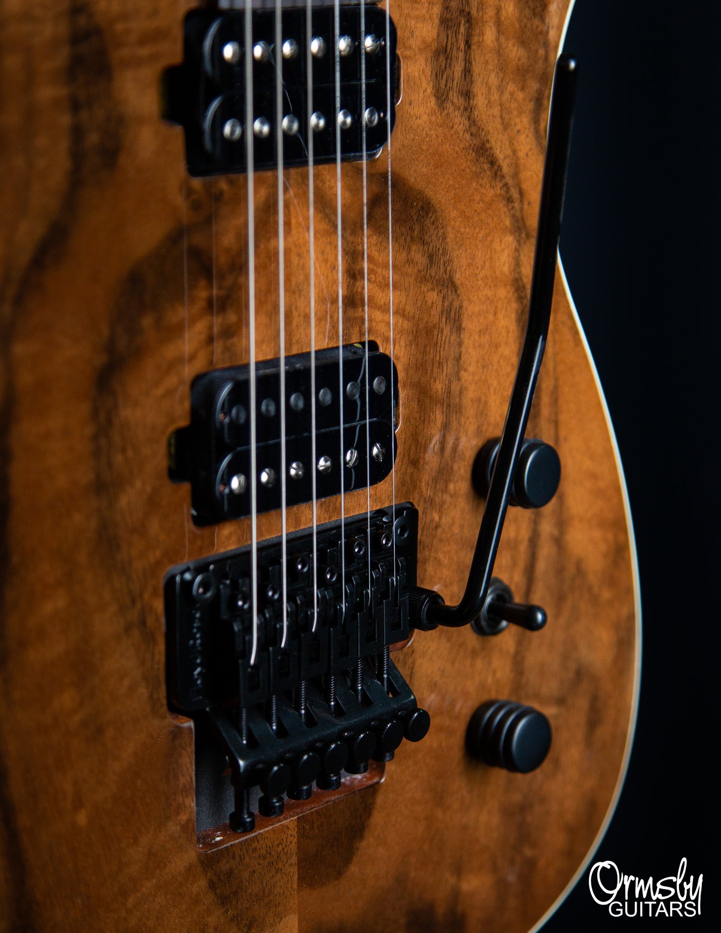 Floyd Rose Hype GTR Run 18 - Standard Scale
