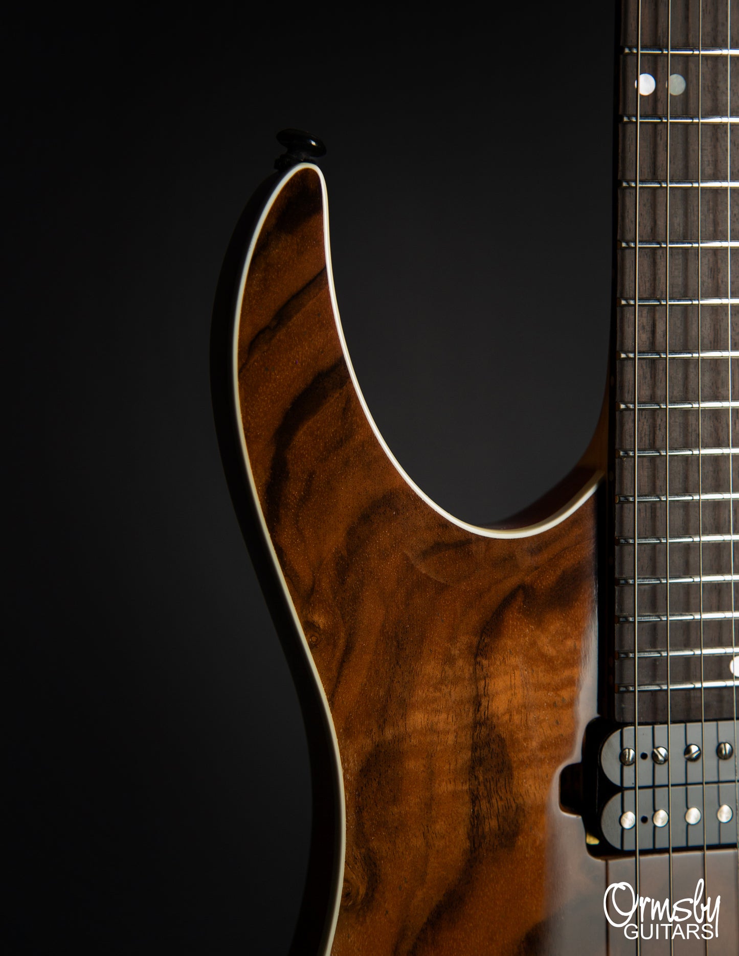 Floyd Rose Hype GTR Run 18 - Standard Scale
