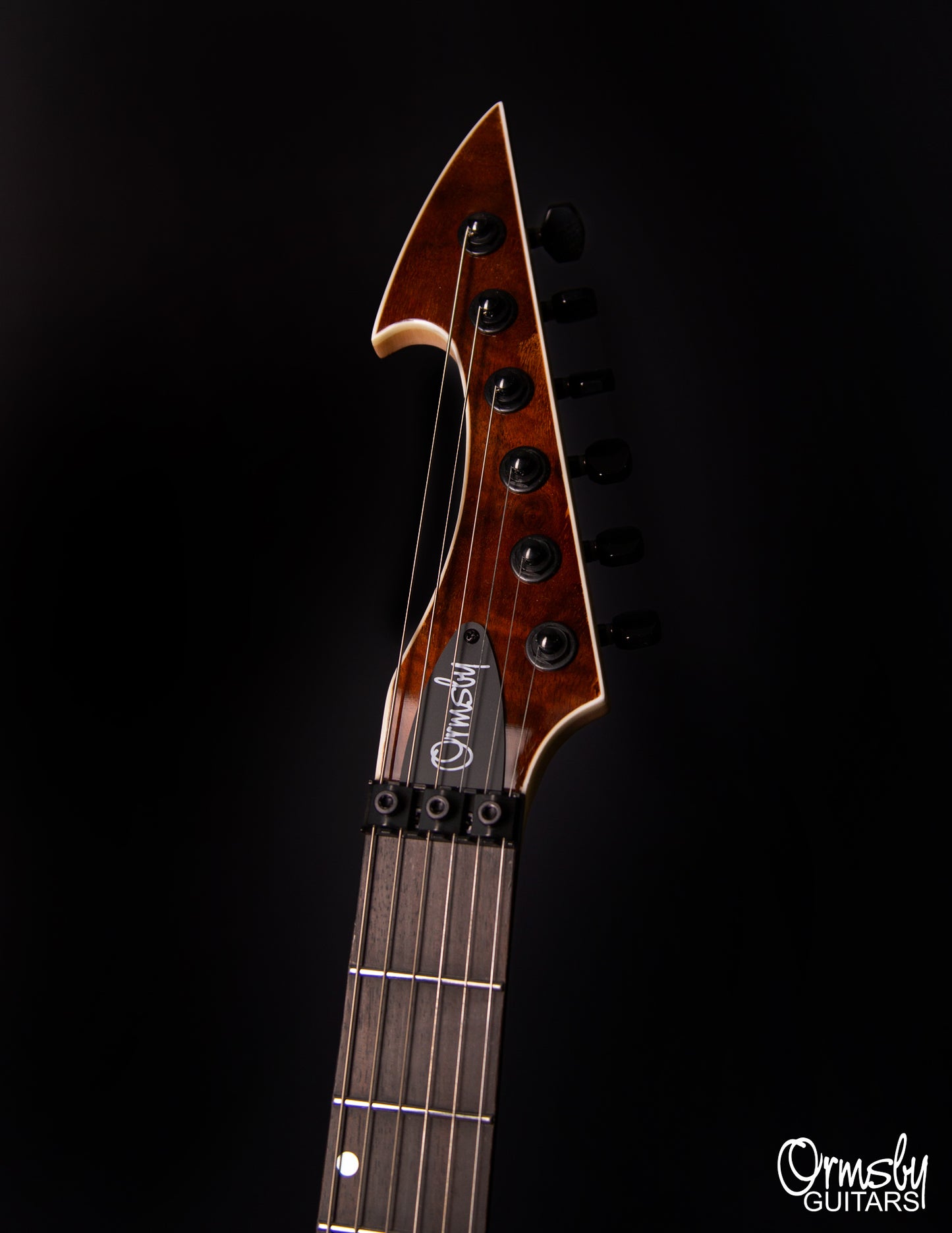 Floyd Rose Hype GTR Run 18 - Standard Scale