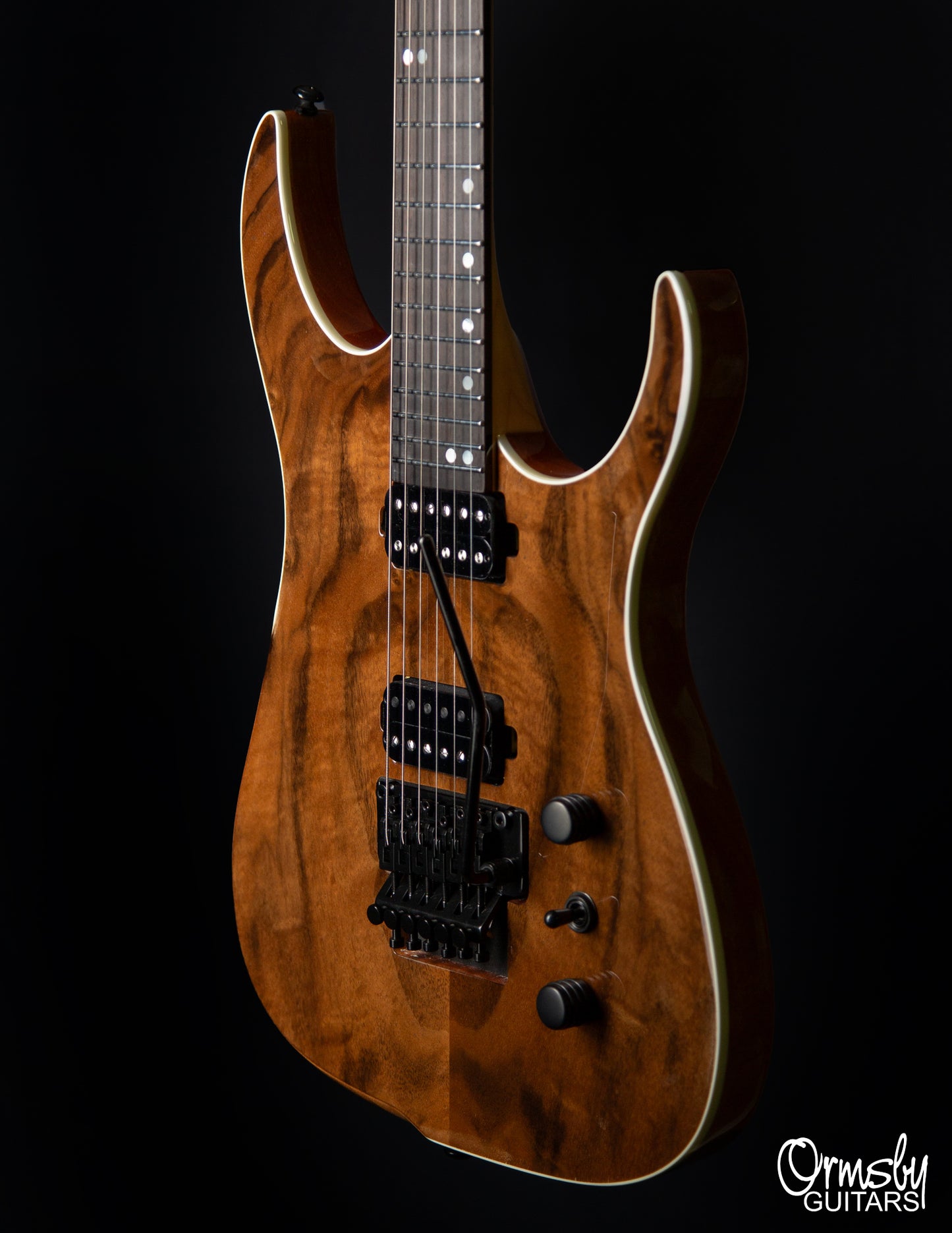 Floyd Rose Hype GTR Run 18 - Standard Scale