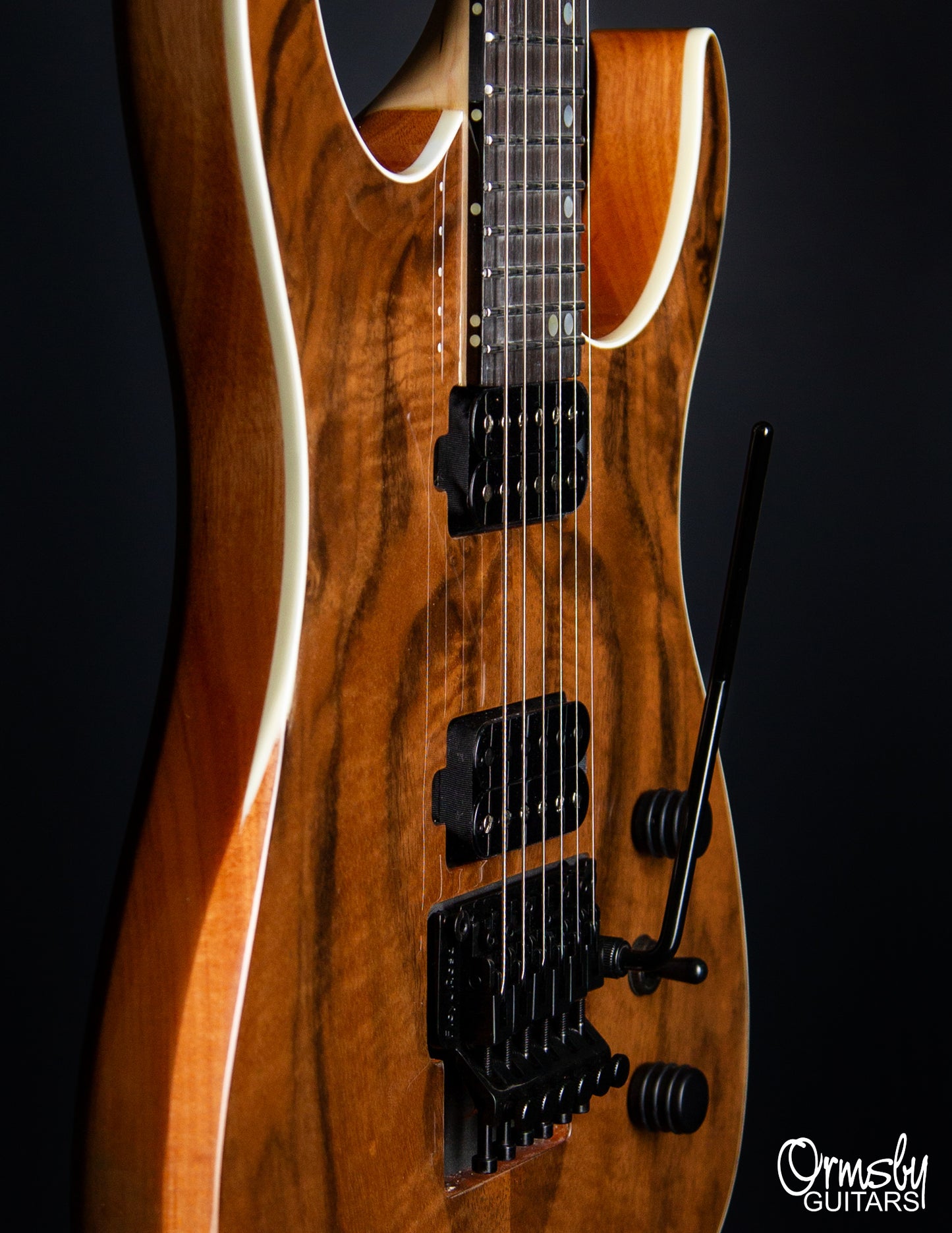 Floyd Rose Hype GTR Run 18 - Standard Scale