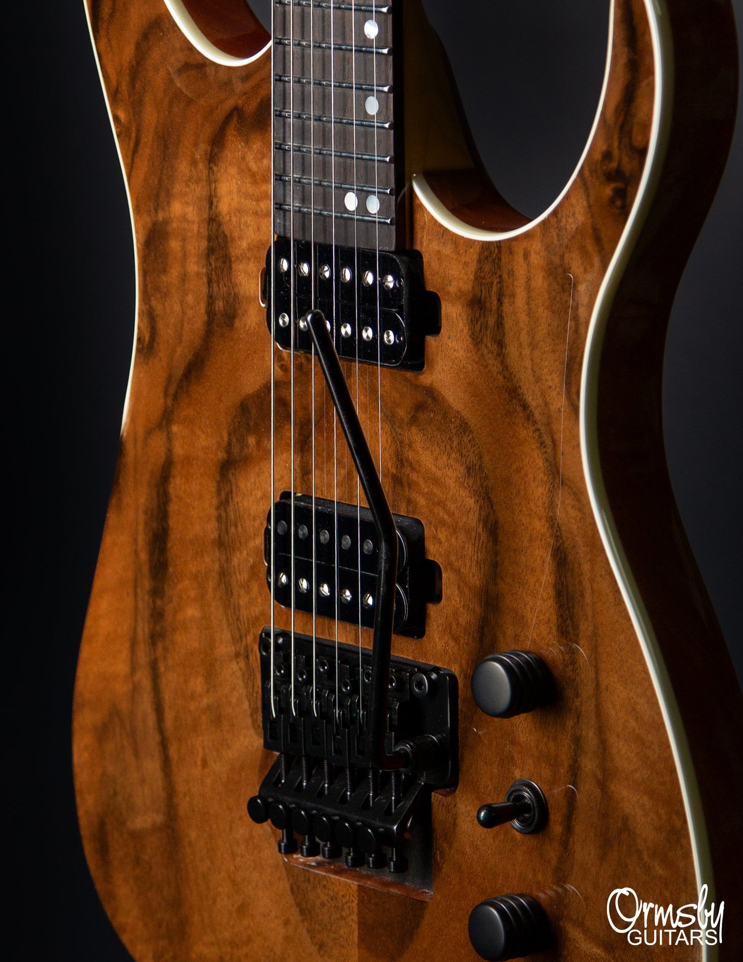 Floyd Rose Hype GTR Run 18 - Standard Scale