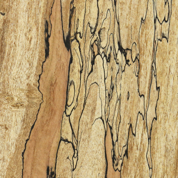 SPALTED MAPLE wood grain sample