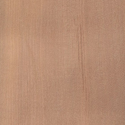 TASMANIAN MYRTLE wood grain sample