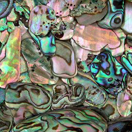 Image description