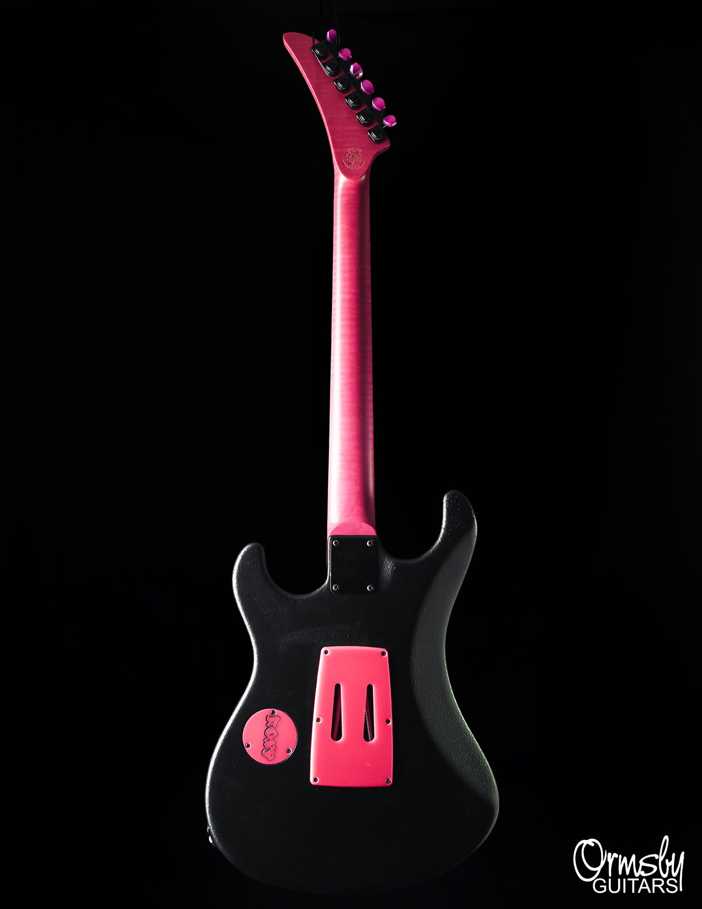 CustomShop - Roxy Raptor 6 String