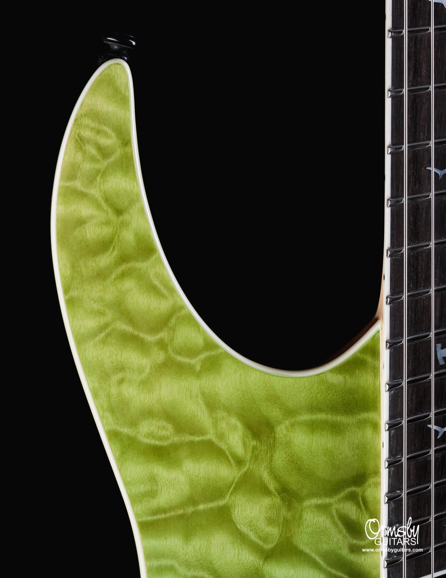 Hype GTR Ormsby Shark - LTD EDT