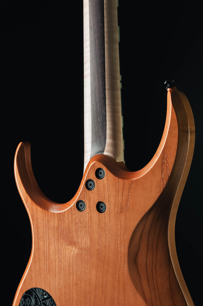 CustomShop - Dino Aztec 7 String – Ormsby Guitars