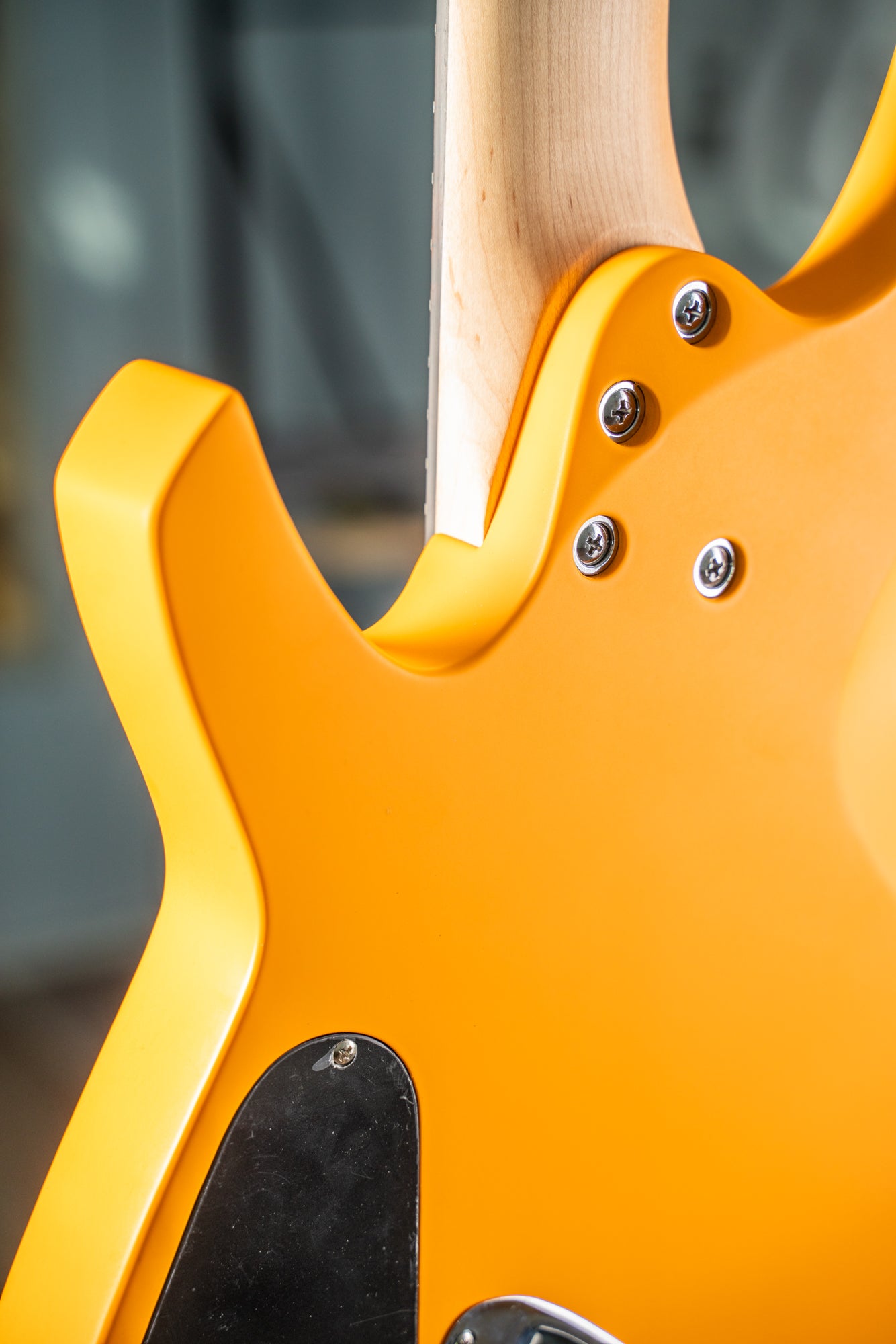 Art Series: GOLIATH GTR Mango - 7 Strings