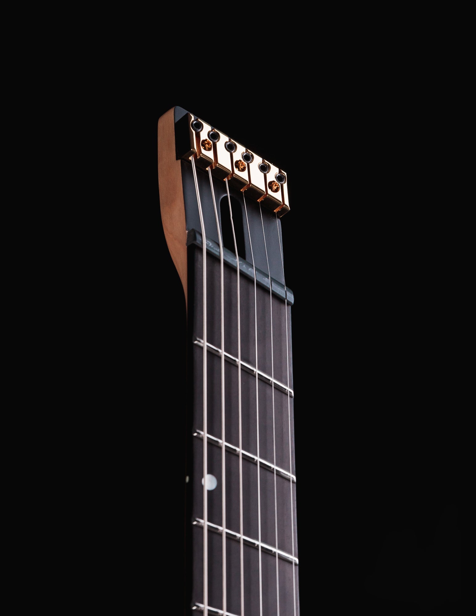 Roberto Barros Cyborg Goliath – Ormsby Guitars