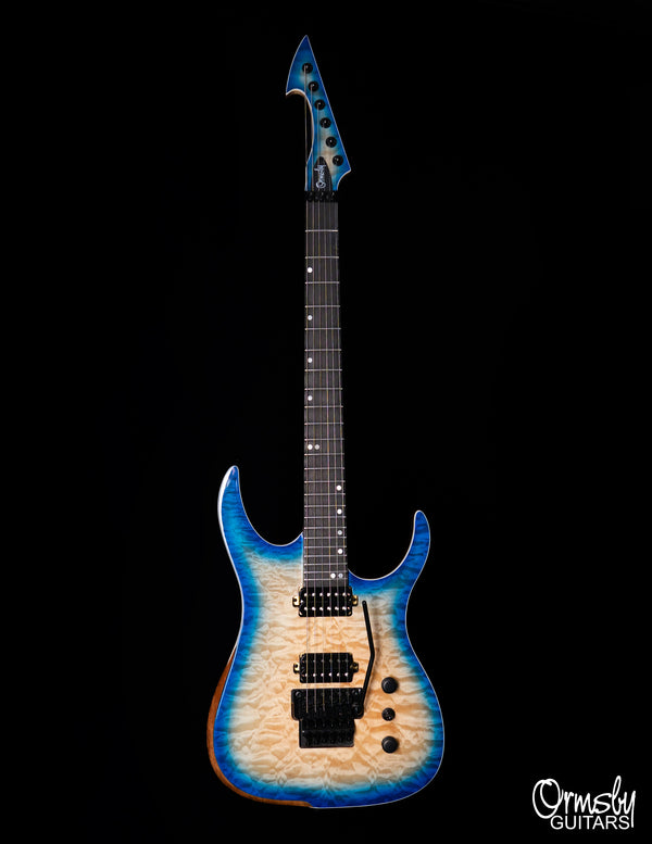 Floyd Rose Hype GTR Run 18 - Standard Scale