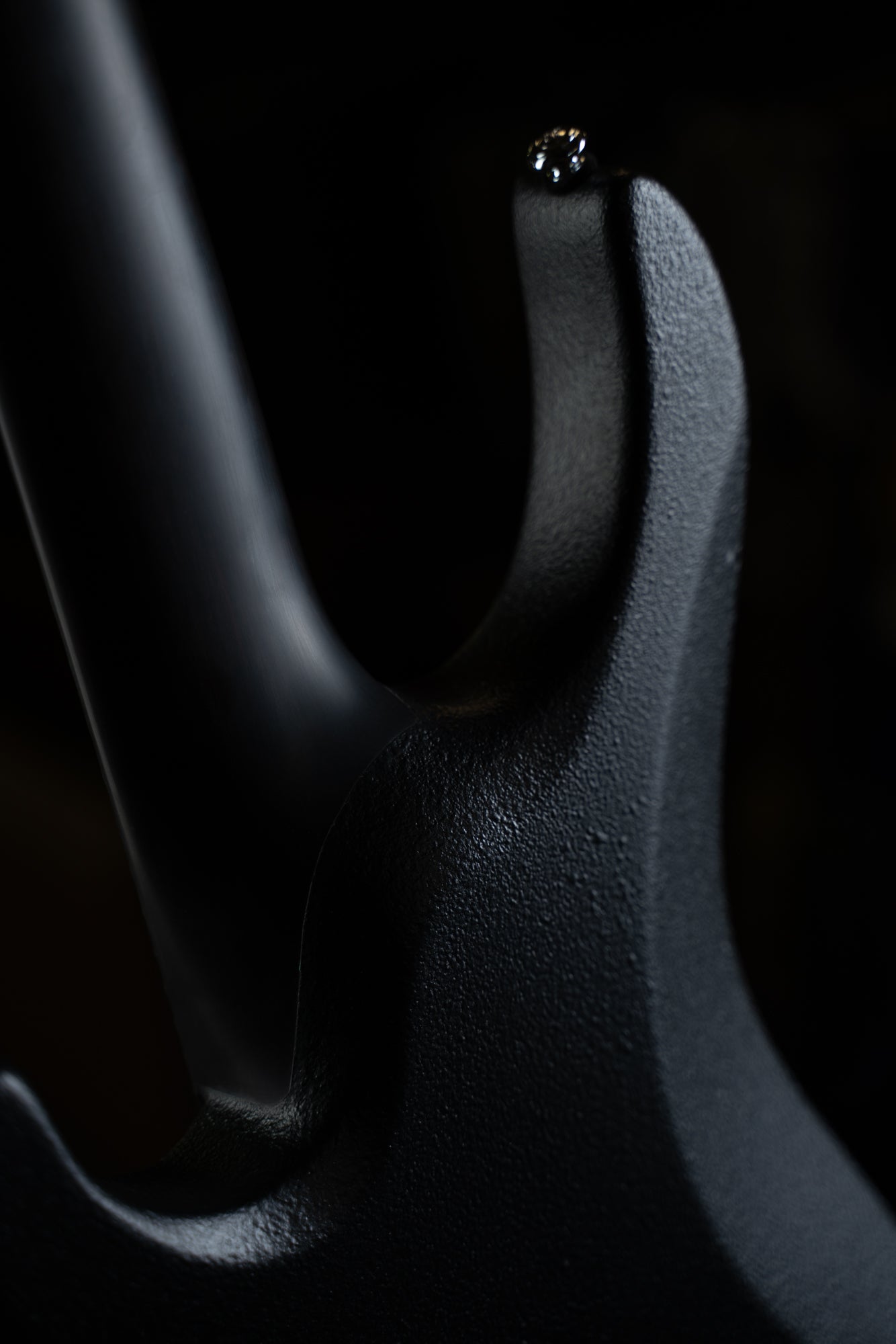 Art Series: SX GTR Black Raptor - 7 String
