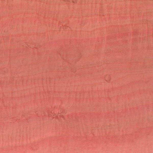 Ormsby Guitars Tonewood pink ivory